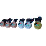 Wielkie sukcesy uczniów i nauczycieli Gdyńskiej Trójki w XXXIII Olimpiadzie Informatycznej